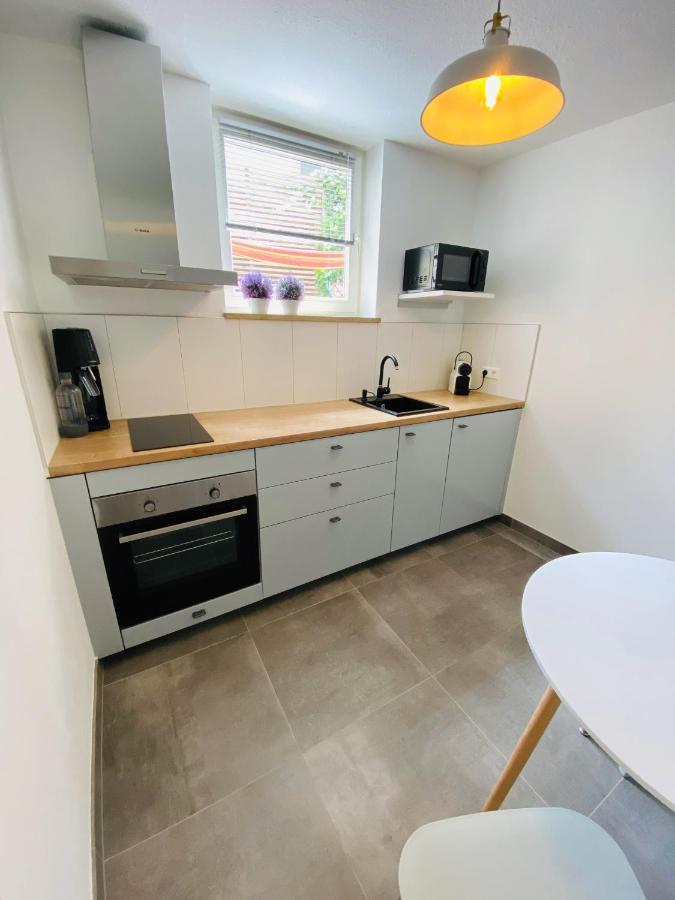 Apartment Regener Lörrach Buitenkant foto