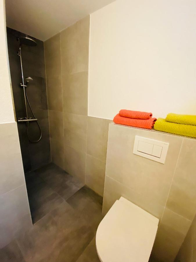 Apartment Regener Lörrach Buitenkant foto