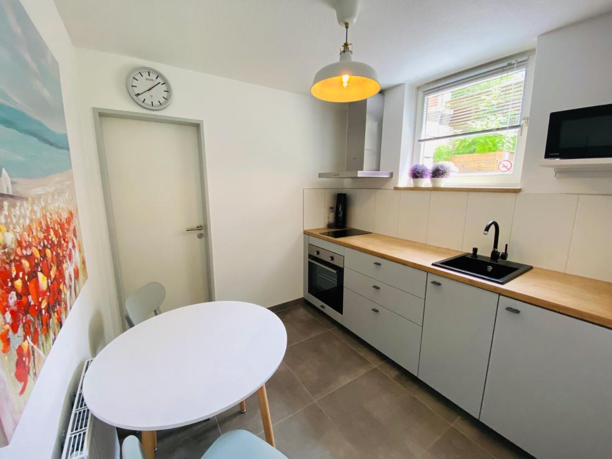Apartment Regener Lörrach Buitenkant foto